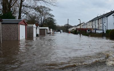 After the storm: how to navigate times of emergency